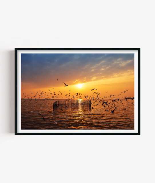 Seagull Sunset Print - Coastal Photography Wall Art Relaxed Seaside Decor - image 1
