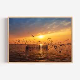 Seagull Sunset Print - Coastal Photography Wall Art Relaxed Seaside Decor - thumbnail 2