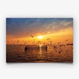 Seagull Sunset Print - Coastal Photography Wall Art Relaxed Seaside Decor - thumbnail 3