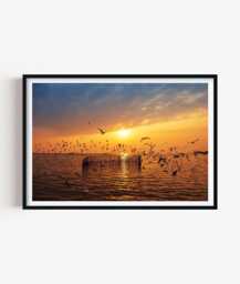 Seagull Sunset Print - Coastal Photography Wall Art Relaxed Seaside Decor - thumbnail 1