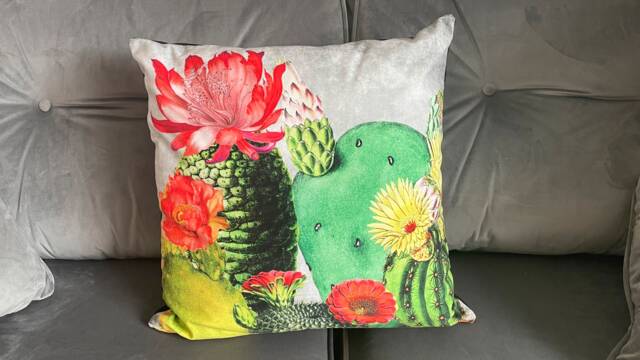 Tropical Cactus Velvet Cushion 45cm X Cushions Pillows Limited Edition Cacti Plants Homeware - image 1