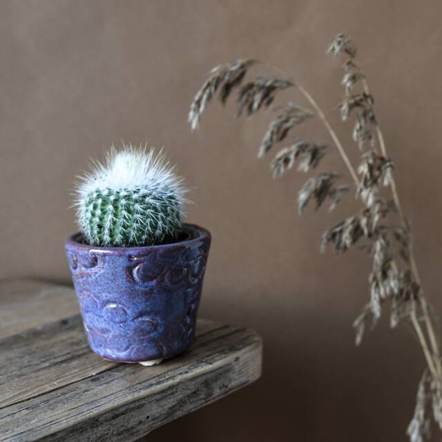 Handmade Glazed Stoneware Plant Pot Seed Pod Design, Small Indoor Planter - image 1