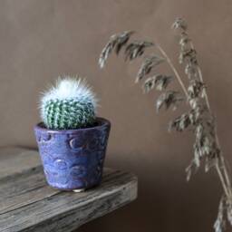 Handmade Glazed Stoneware Plant Pot Seed Pod Design, Small Indoor Planter - thumbnail 1