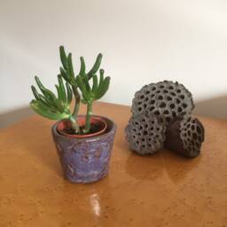 Handmade Glazed Stoneware Plant Pot Seed Pod Design, Small Indoor Planter - thumbnail 2