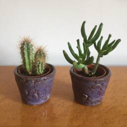 Handmade Glazed Stoneware Plant Pot Seed Pod Design, Small Indoor Planter - thumbnail 3