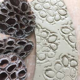 Handmade Glazed Stoneware Plant Pot Seed Pod Design, Small Indoor Planter - thumbnail 4