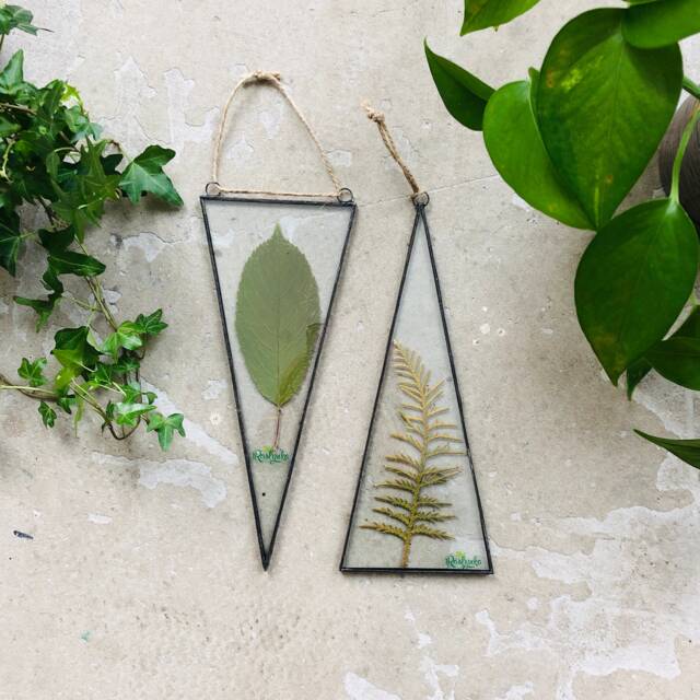 Set Of 2, Pressed Plants in Stained Glass Frame, Dried Leaves Wall Hanging, Triangular Floating Framed Botanical Window Art - image 1