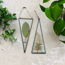 Set Of 2, Pressed Plants in Stained Glass Frame, Dried Leaves Wall Hanging, Triangular Floating Framed Botanical Window Art - thumbnail 1
