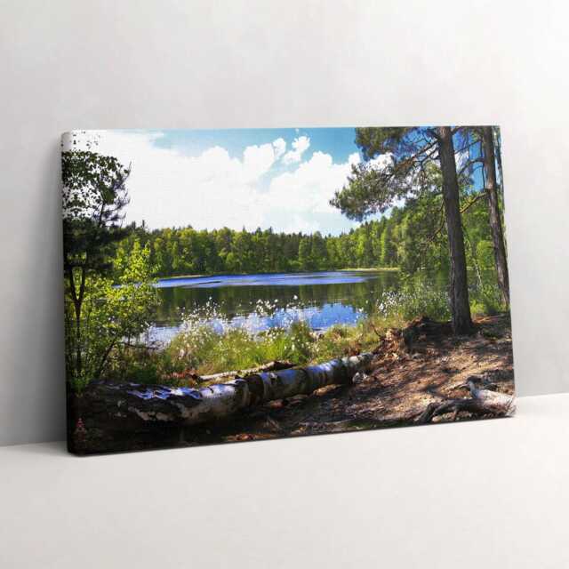 View Of The Lake in Forest Canvas, Picture Wall Hanging, Green Decor, Landscape Canvas Print - image 1