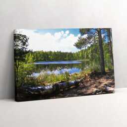 View Of The Lake in Forest Canvas, Picture Wall Hanging, Green Decor, Landscape Canvas Print - thumbnail 1
