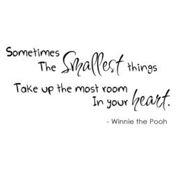 Winnie The Pooh Vinyl Quote Sometimes Smallest Thing Nursery Wall Decal Art Decor - 040 - thumbnail 3