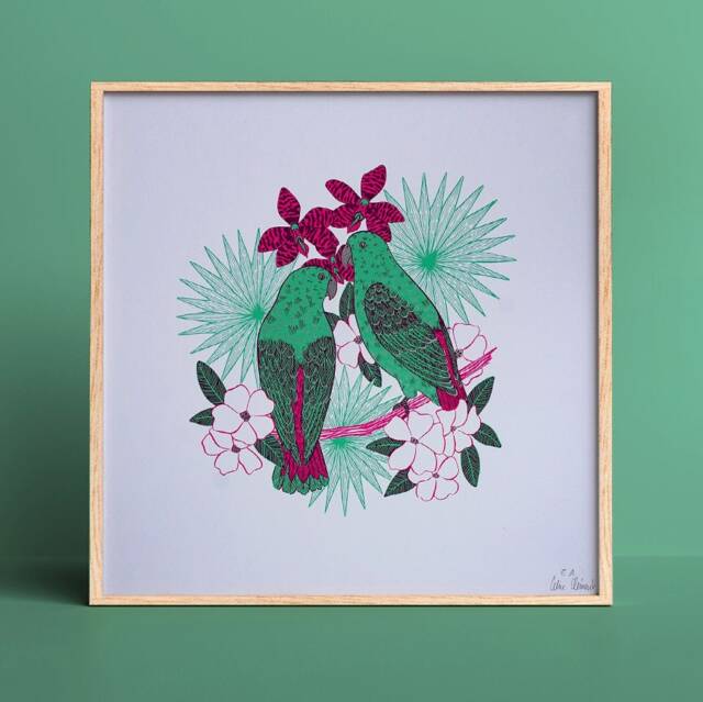 Parrots - image 1