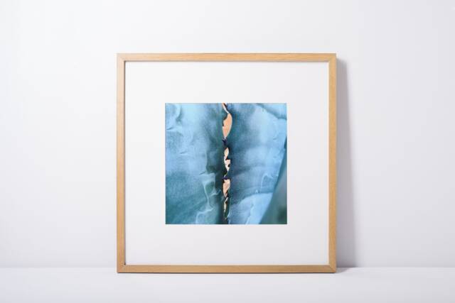 "Digital Download, Printable Art, Bright Colorful Cactus Botanical Wall Decor, Modern Arizona, Art ""Blue Paddles" - image 1