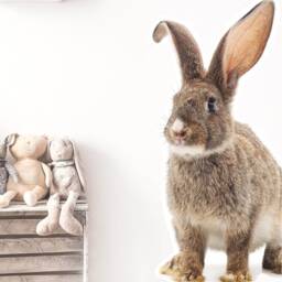 Big Rabbit Bunny Wall Decor, Kids Room Art, Nursery Boho Bedroom, Girls Boys Bedroom Decals - thumbnail 3
