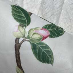 "Floral - Leaf Design Cushion Cover, Lumbar Size 12"" X 20" - thumbnail 2