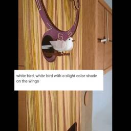 Cuckoo Clock, Rectangular Strict Form - thumbnail 4