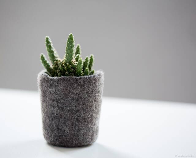 Wool Planter For Succulents, Mini Plant Favor, Hygge Home Decor, Organic Felted Vase, Mountain Rock Stone Like Cozy - image 1