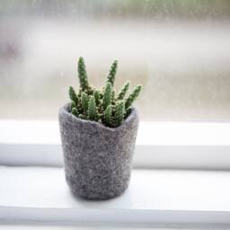 Wool Planter For Succulents, Mini Plant Favor, Hygge Home Decor, Organic Felted Vase, Mountain Rock Stone Like Cozy - thumbnail 3