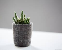 Wool Planter For Succulents, Mini Plant Favor, Hygge Home Decor, Organic Felted Vase, Mountain Rock Stone Like Cozy - thumbnail 1