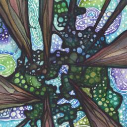 Beneath Magic, Sequoia Redwood Watercolor Painting Print Forest Sky Aurora Borealis - thumbnail 2