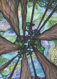 Beneath Magic, Sequoia Redwood Watercolor Painting Print Forest Sky Aurora Borealis - thumbnail 1