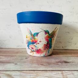 Hummingbird Flower Pot, Plant Bird Planter, Gifts, Home Decor, Themed Gardener Gifts - thumbnail 2