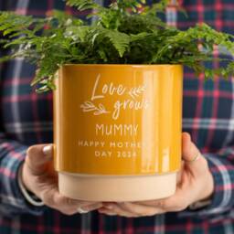 Personalised Engagement Valentines Proposal Indoor Plant Pot - A Bespoke Gift To Celebrate A Couple. Idea For Him Or Her - thumbnail 3