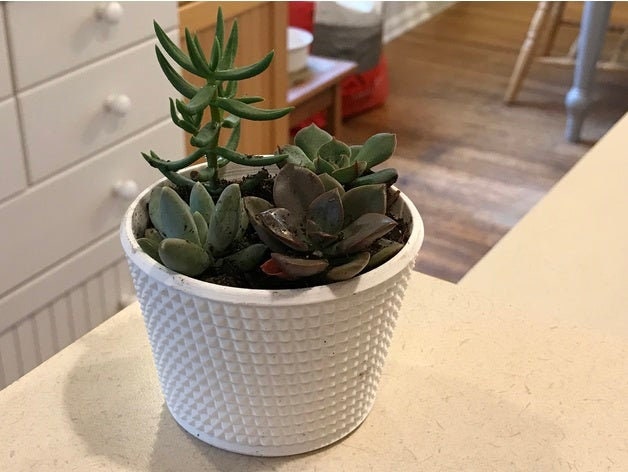 Knurled Succulent Planter - Modern Air Plant Holder Cactus Large Small Baby Cute - image 1