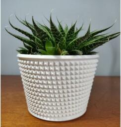 Knurled Succulent Planter - Modern Air Plant Holder Cactus Large Small Baby Cute - thumbnail 2