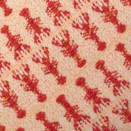 Lobster Rectangle Cushion With Tassels & Velvet, Handwoven in Brighton UK - thumbnail 3