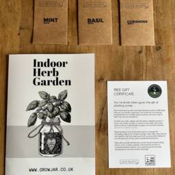 Indoor Herb Gardens in Rustic Jar Planters, Eco Friendly Gift Set Of 2-6. Grow Your Own Mint, Basil, Coriander, Chives, Parsley, Rosemary - thumbnail 3