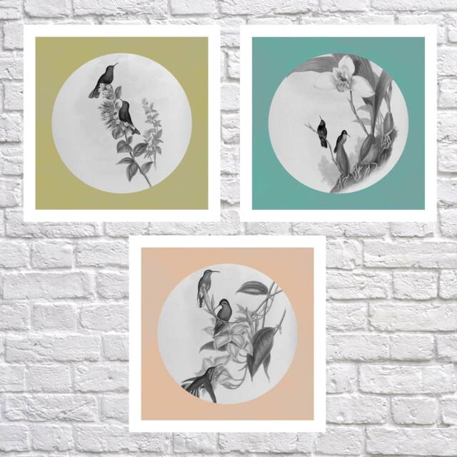 Print Set Of 3, 3 Lounge Prints, Contemporary Wall Art Set, Vintage Bird Prints For Your Home, Antique Hummingbird - image 1