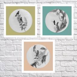 Print Set Of 3, 3 Lounge Prints, Contemporary Wall Art Set, Vintage Bird Prints For Your Home, Antique Hummingbird - thumbnail 1