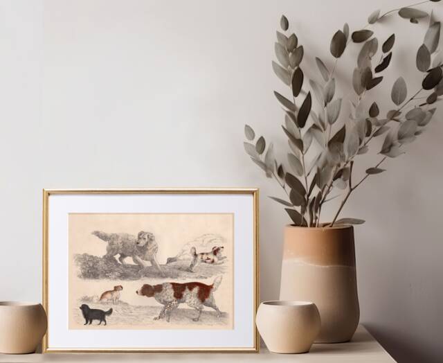 Vintage Spaniel Dog Print Rustic Canine Wall Art by Etsy | ufurnish.com