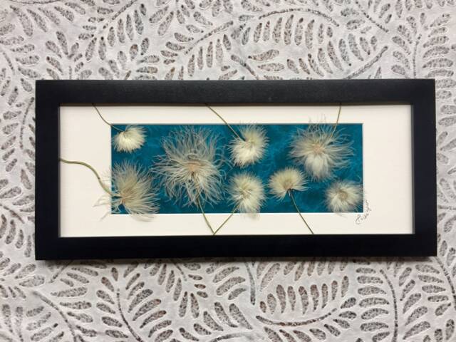 Pressed Old Man's Whiskers Art - Teal Botanical Wall Decor - image 1