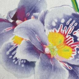 Prestigious Textiles Bourgainvillea Designer Fabric Floral Cushion Pillow Cover - thumbnail 2