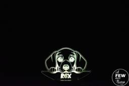 Personalised Dachshund Led Night Light Engraved Dog Lamp - thumbnail 1