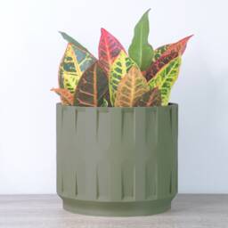 "Colosseum Planter With Drainage & Saucer in Army Green, Unique 3D-Printed Plant Pot, Small To Large Sizes 4"" 5"" 6"" 7"" 8" - thumbnail 3