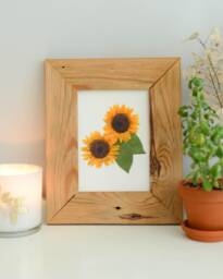 Sunflower, Ks State Flower - Print Reproduction Artwork Of Pressed Flowers 100% Cotton Rag Paper Botanical - thumbnail 1