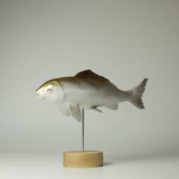 Wooden Koi Sculpture - Big - 1 - thumbnail 2