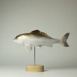 Wooden Koi Sculpture - Big - 1 - thumbnail 1