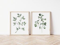 Eucalyptus & Fern Watercolor Print Set Botanical Wall Art - thumbnail 1
