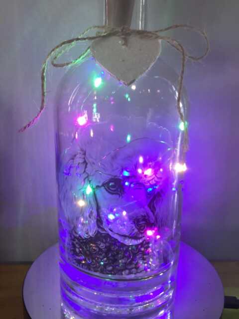 Personalised Poodle Dog Light Up Bottle, Bottle Lamp With Gift Messaging Service & Bag