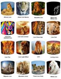 Lion King Of The Jungle Drum Lampshade For Ceiling Light Pendants Or Table Lamp Bases - thumbnail 1