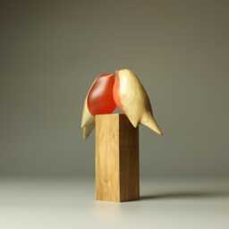 Love Robins - 68A - thumbnail 4