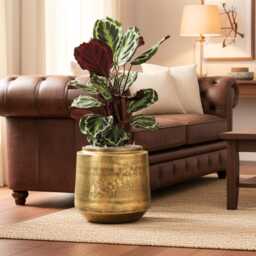 Handmade Xlarge Metal Pots, Vintage Gold, Retro Houseplant Pot, - D33cm, D46cm