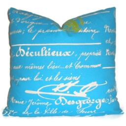French Script Turquoise Decorative Pillow Cover. 20