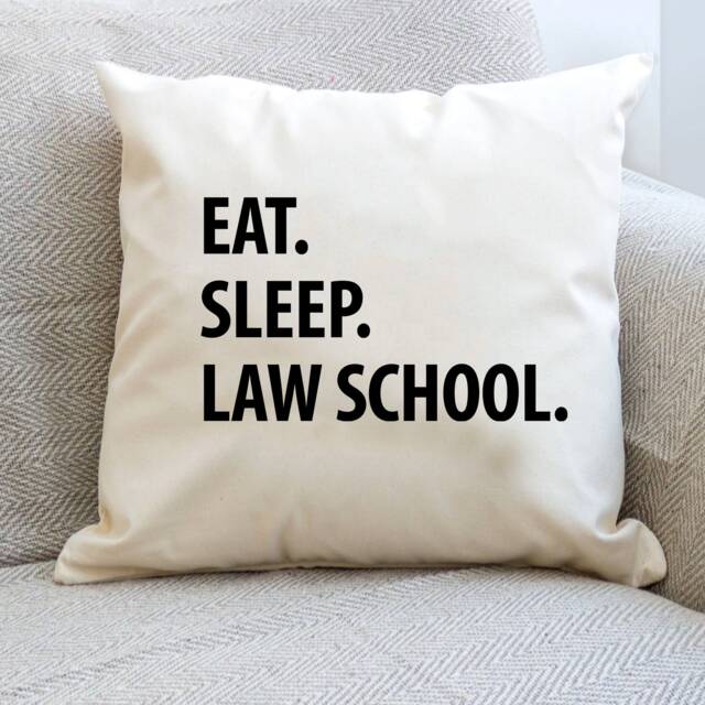 Law School Cushion, Student Gift, Eat Sleep Pillow Cover - 1134 - image 1