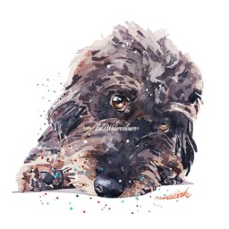 Wirehaired Dachshund Print 17x12cm - Rustic Frame - Sausage Dog Wall Art, Gift For Doxie Lovers - thumbnail 4