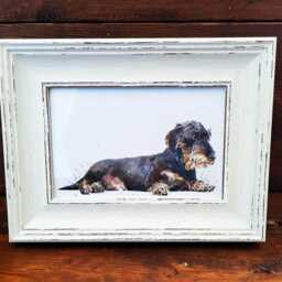 Wirehaired Dachshund Print 17x12cm - Rustic Frame - Sausage Dog Wall Art, Gift For Doxie Lovers - thumbnail 2